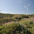 albany wind farm 