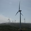 albany wind farm 